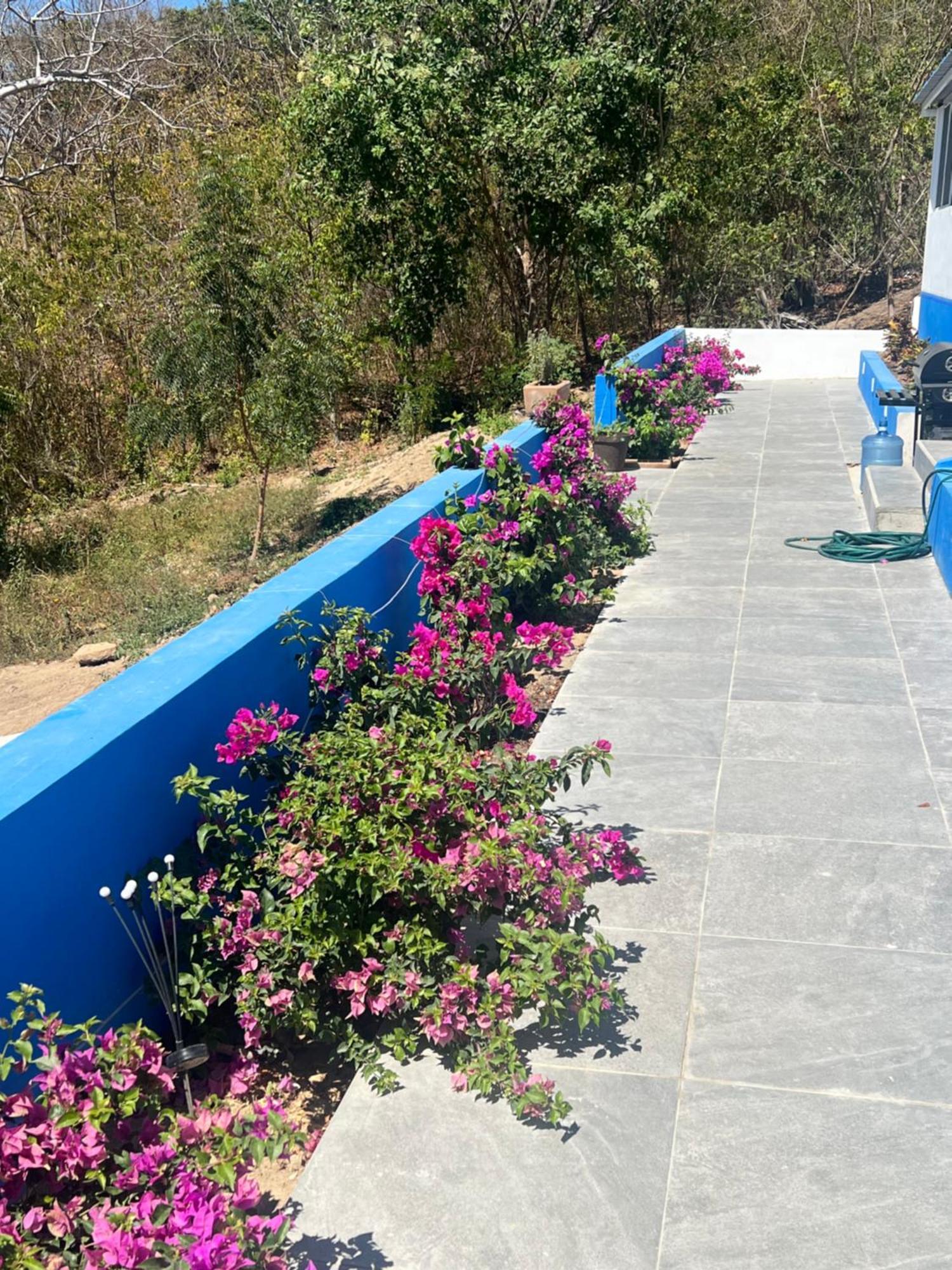 Valentina Salchi Suites - Pinky Promise Cuatunalco Exterior photo